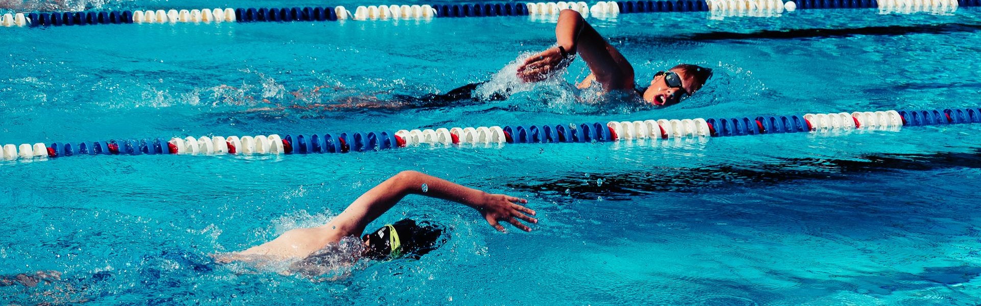 Car rental Kraljevo | Swim Way Swimming School